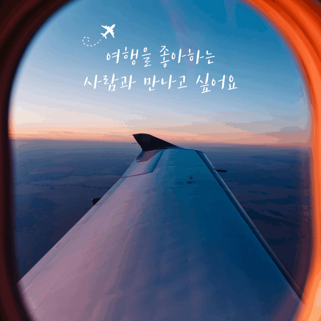 뜨거운 태양과 예술의 도시에서 사랑을 불태우다! 🇺🇸 미국 마이애미에서 썸을 사랑으로! '러브이즈 투어' 추천 여행지